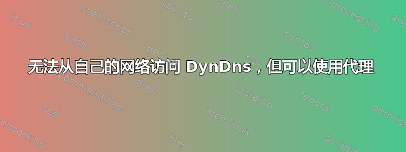 无法从自己的网络访问 DynDns，但可以使用代理