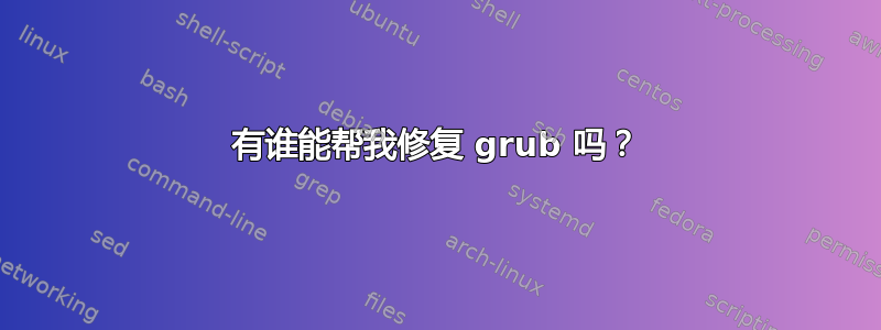 有谁能帮我修复 grub 吗？