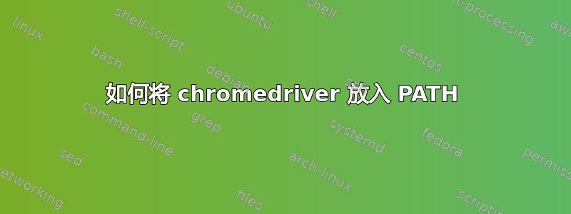 如何将 chromedriver 放入 PATH