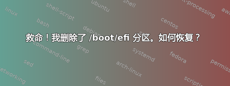 救命！我删除了 /boot/efi 分区。如何恢复？