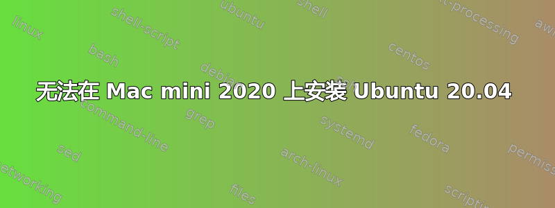 无法在 Mac mini 2020 上安装 Ubuntu 20.04