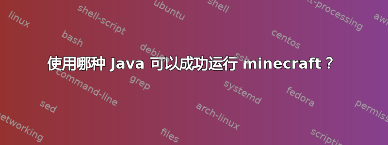 使用哪种 Java 可以成功运行 minecraft？