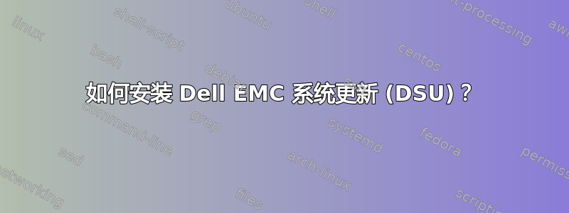 如何安装 Dell EMC 系统更新 (DSU)？