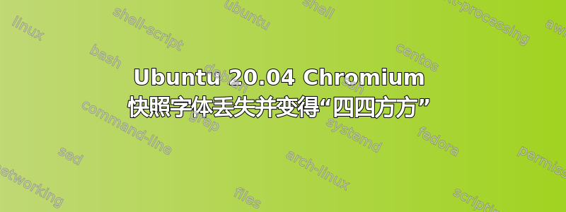 Ubuntu 20.04 Chromium 快照字体丢失并变得“四四方方”