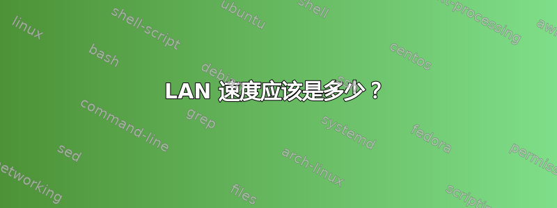 LAN 速度应该是多少？