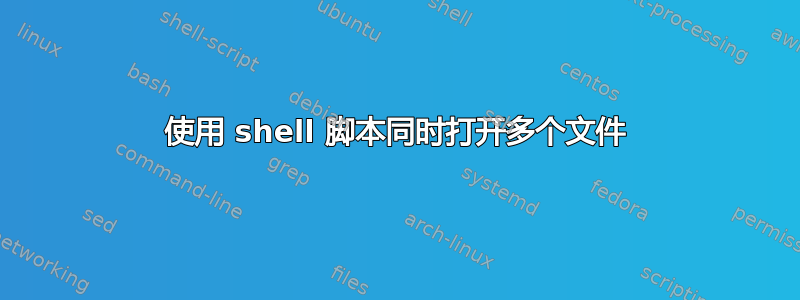 使用 shell 脚本同时打开多个文件