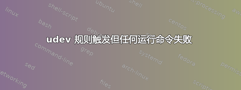 udev 规则触发但任何运行命令失败