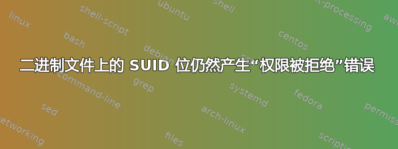 二进制文件上的 SUID 位仍然产生“权限被拒绝”错误