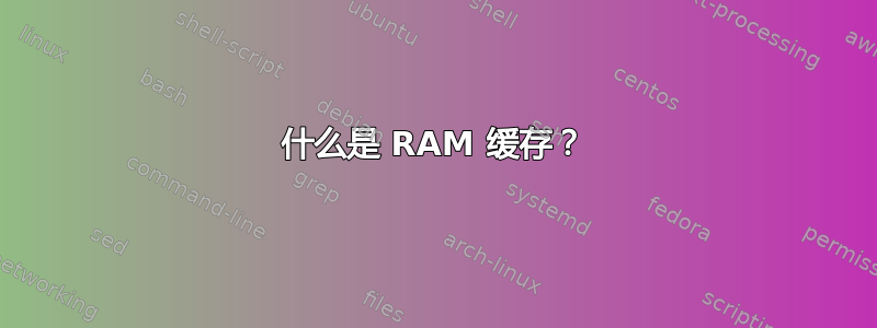 什么是 RAM 缓存？