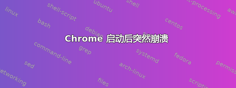 Chrome 启动后突然崩溃