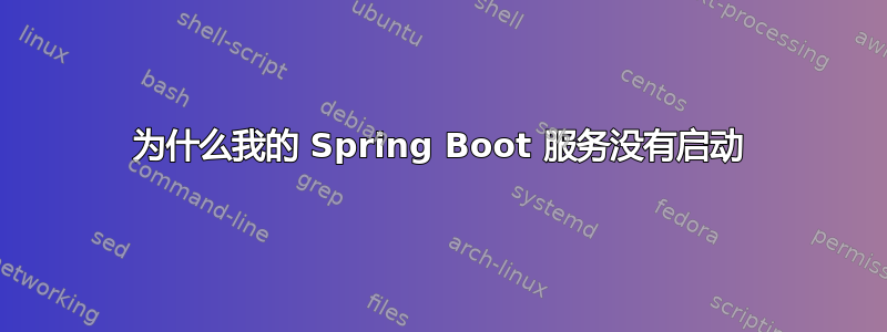 为什么我的 Spring Boot 服务没有启动