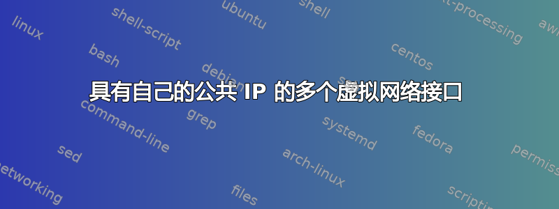 具有自己的公共 IP 的多个虚拟网络接口