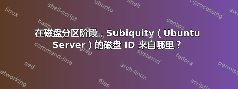 在磁盘分区阶段，Subiquity（Ubuntu Server）的磁盘 ID 来自哪里？