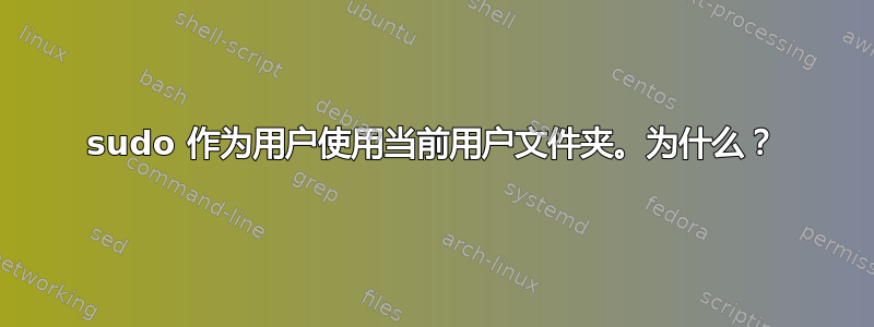 sudo 作为用户使用当前用户文件夹。为什么？