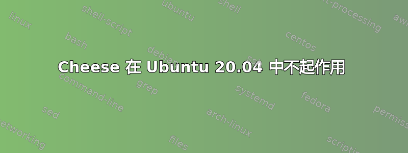 Cheese 在 Ubuntu 20.04 中不起作用