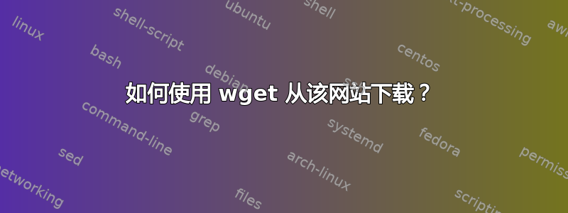 如何使用 wget 从该网站下载？