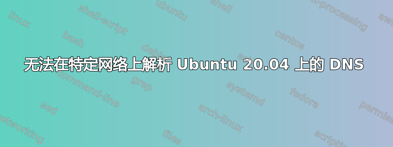 无法在特定网络上解析 Ubuntu 20.04 上的 DNS