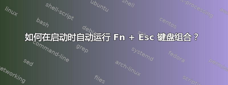 如何在启动时自动运行 Fn + Esc 键盘组合？