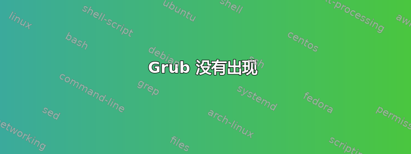 Grub 没有出现