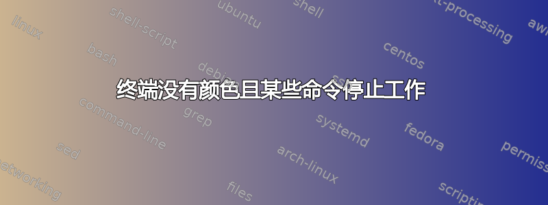 终端没有颜色且某些命令停止工作