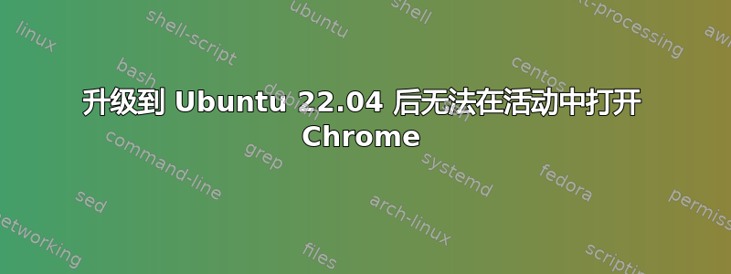 升级到 Ubuntu 22.04 后无法在活动中打开 Chrome