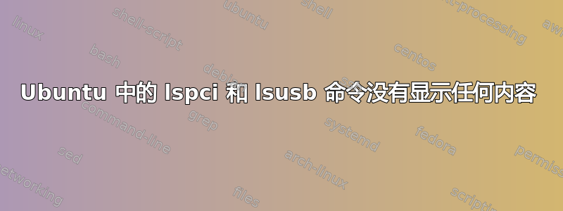 Ubuntu 中的 lspci 和 lsusb 命令没有显示任何内容