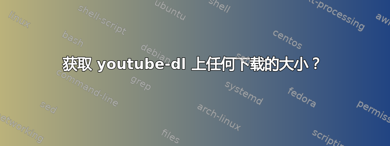 获取 youtube-dl 上任何下载的大小？