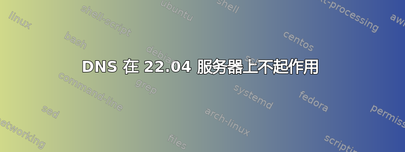 DNS 在 22.04 服务器上不起作用