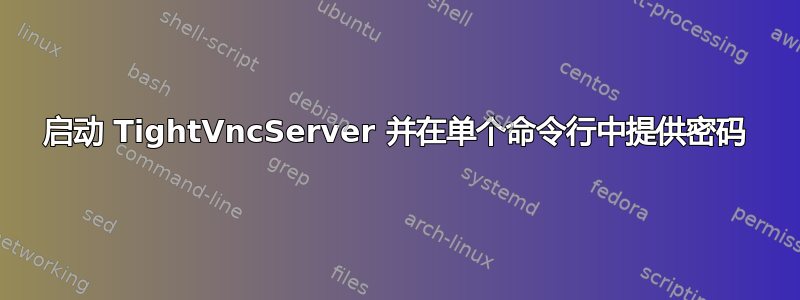 启动 TightVncServer 并在单个命令行中提供密码