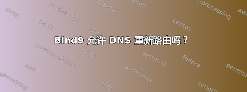 Bind9 允许 DNS 重新路由吗？