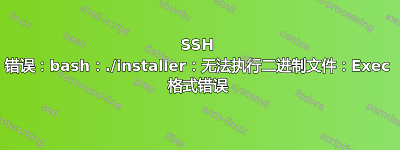 SSH 错误：bash：./installer：无法执行二进制文件：Exec 格式错误