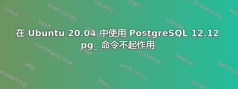 在 Ubuntu 20.04 中使用 PostgreSQL 12.12 pg_ 命令不起作用