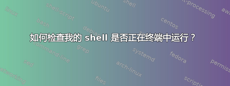 如何检查我的 shell 是否正在终端中运行？