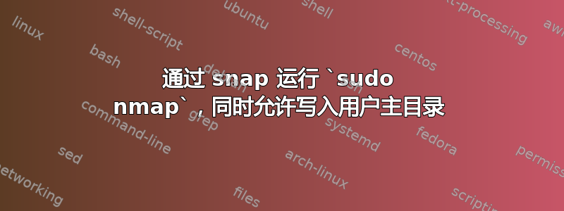 通过 snap 运行 `sudo nmap`，同时允许写入用户主目录