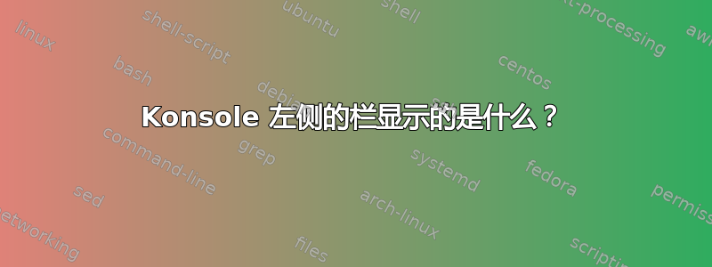 Konsole 左侧的栏显示的是什么？