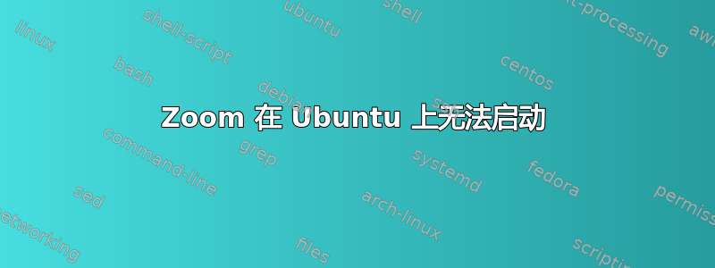 Zoom 在 Ubuntu 上无法启动