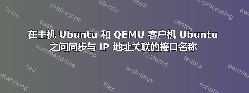 在主机 Ubuntu 和 QEMU 客户机 Ubuntu 之间同步与 IP 地址关联的接口名称