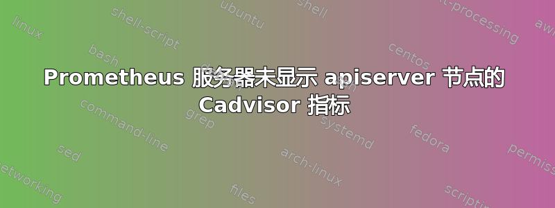 Prometheus 服务器未显示 apiserver 节点的 Cadvisor 指标