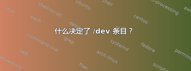 什么决定了 /dev 条目？