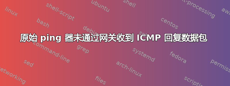 原始 ping 器未通过网关收到 ICMP 回复数据包