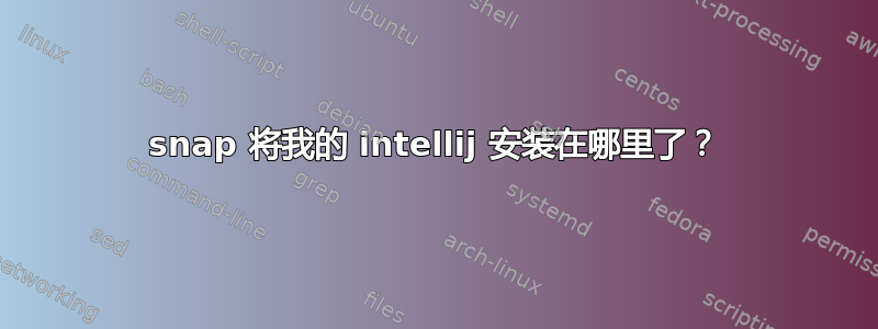 snap 将我的 intellij 安装在哪里了？