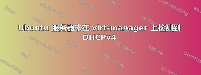 Ubuntu 服务器未在 virt-manager 上检测到 DHCPv4