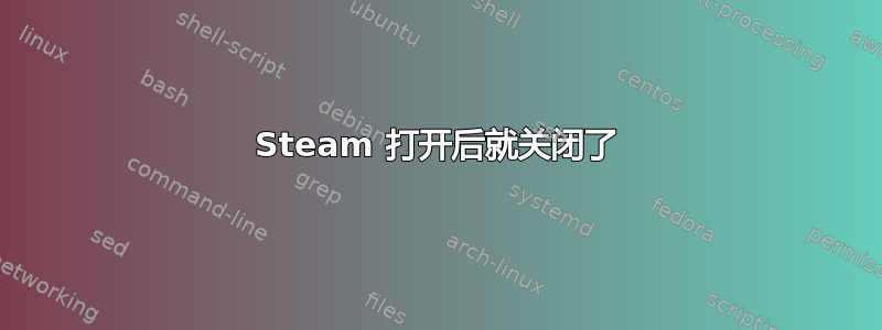 Steam 打开后就关闭了