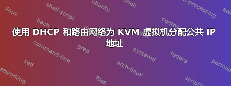 使用 DHCP 和路由网络为 KVM 虚拟机分配公共 IP 地址