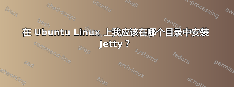 在 Ubuntu Linux 上我应该在哪个目录中安装 Jetty？