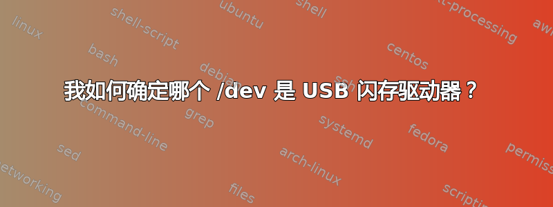 我如何确定哪个 /dev 是 USB 闪存驱动器？