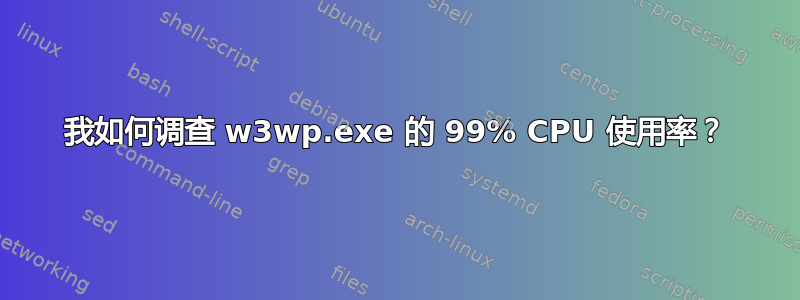 我如何调查 w3wp.exe 的 99% CPU 使用率？