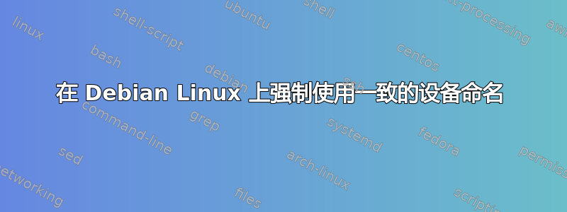 在 Debian Linux 上强制使用一致的设备命名