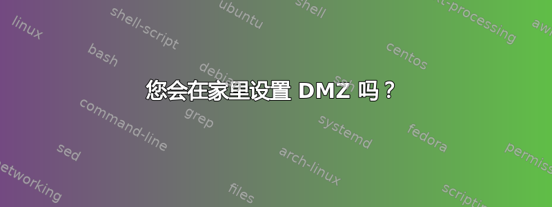 您会在家里设置 DMZ 吗？