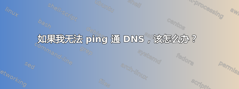 如果我无法 ping 通 DNS，该怎么办？